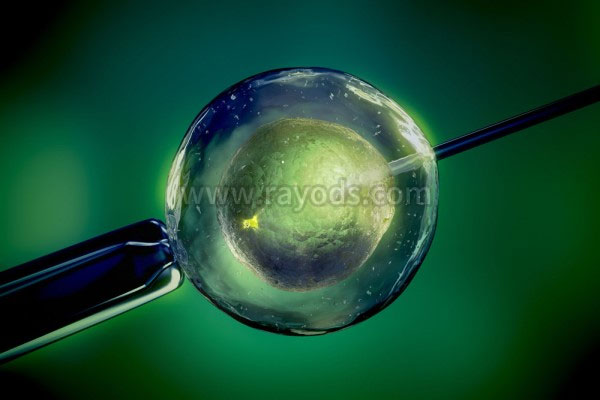 自然周期胚胎冷冻的成功率，给你4个提示。