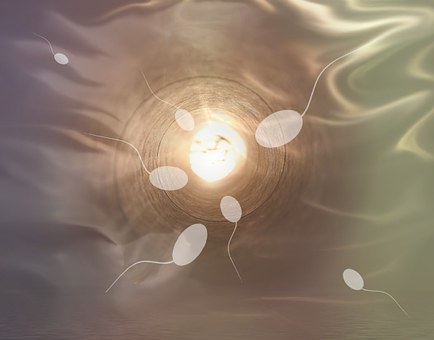 什么样的胚胎适合做试管婴儿？