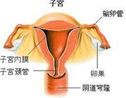子宫内膜炎的症状是什么？