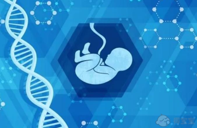 临沂借卵试管咨询：试管婴儿移植中两个胚胎的植入率高吗？