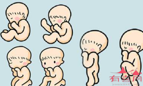 宁波代生宝宝费用：再也不要依赖超声波来了解宝宝的性别了，这是不对的